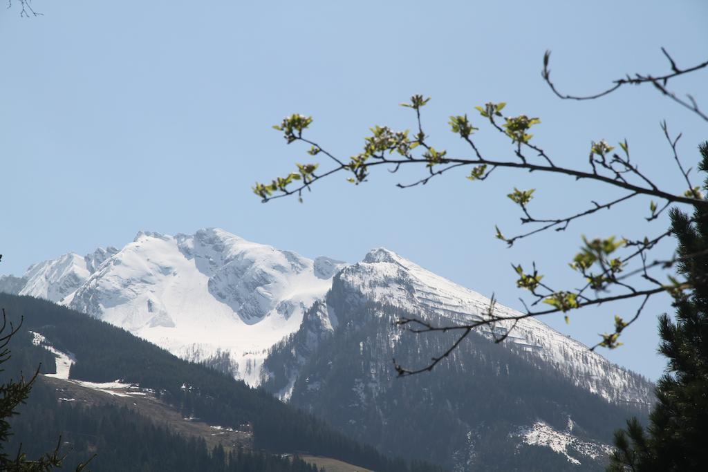 Villa Schnuck - Das Rote Ferienhaus Bad Gastein Exteriér fotografie